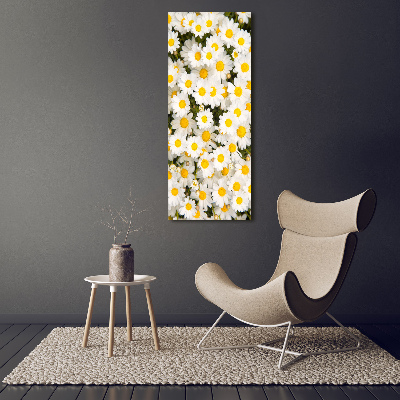 Bild auf Acrylglas vertikal Gänseblümchen