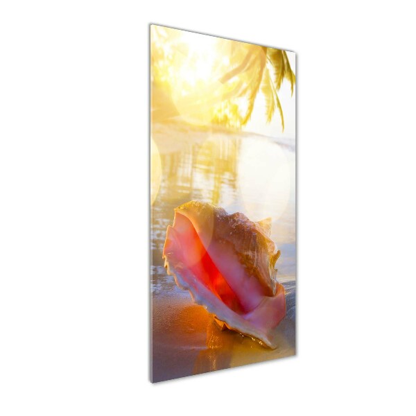 Acrylbild vertikal Eine Muschel am Strand