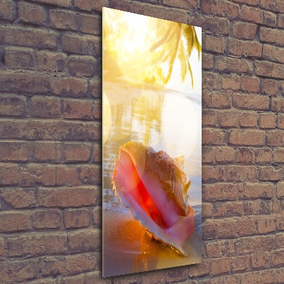 Acrylbild vertikal Eine Muschel am Strand