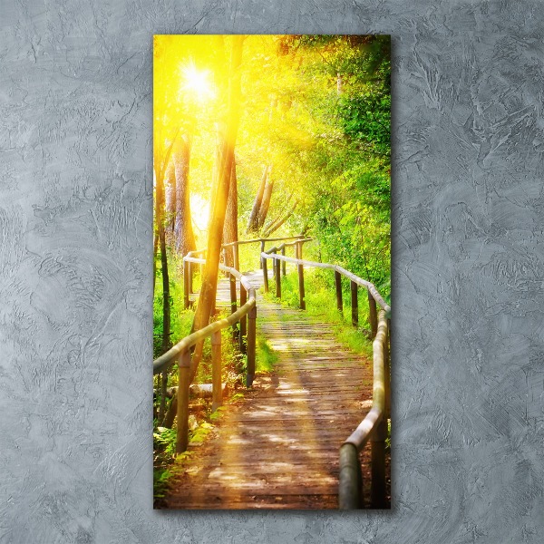 Plexiglasbilder vertikal Pfad im Wald