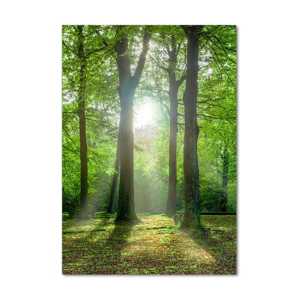 Modernes Acrylbild vertikal Die Sonne im Wald