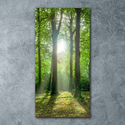 Modernes Acrylbild vertikal Die Sonne im Wald