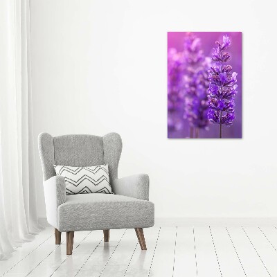 Bild auf Acrylglas vertikal Lavendelfeld