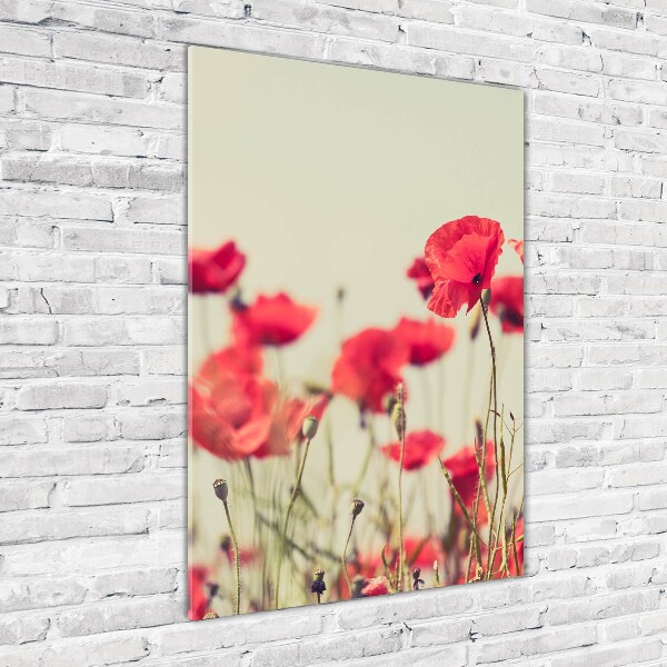 Acrylbild vertikal Wildmohn