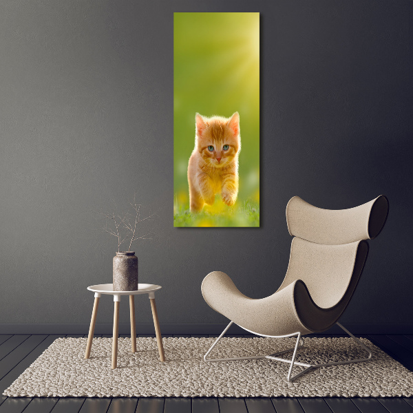 Bild auf Acrylglas vertikal Ingwerkatze