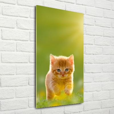 Bild auf Acrylglas vertikal Ingwerkatze