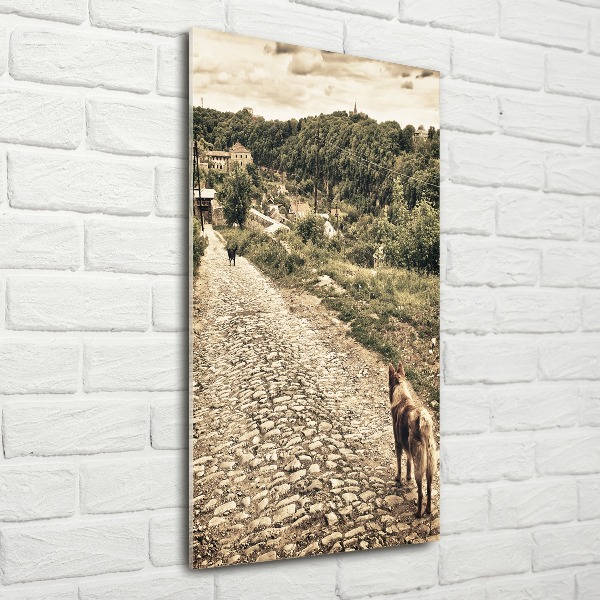 Plexiglasbilder vertikal Zwei Hunde vom Hügel