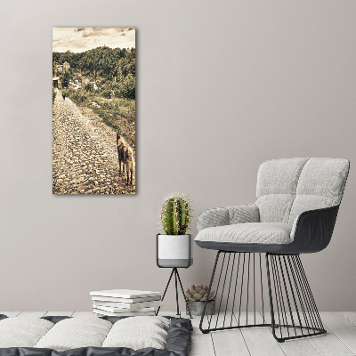 Plexiglasbilder vertikal Zwei Hunde vom Hügel