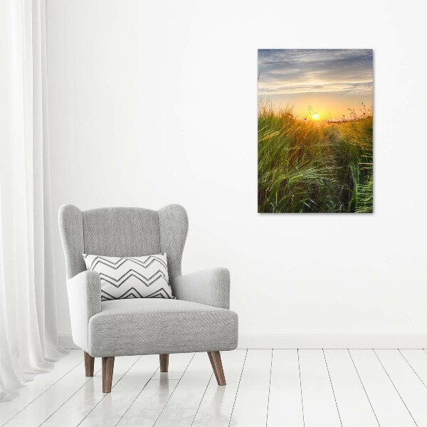 Plexiglasbilder vertikal Weizenfeld