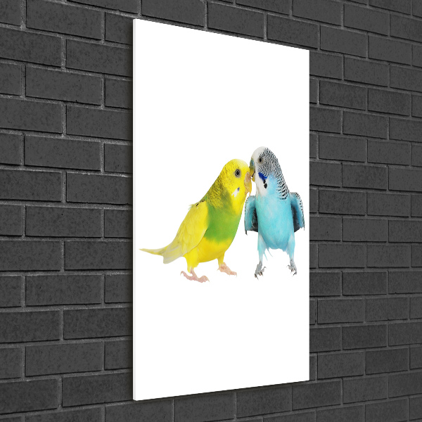 Modernes Acrylbild vertikal Wellensittiche