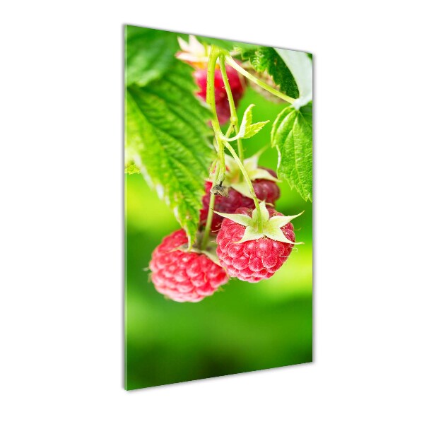 Bild auf Acrylglas vertikal Himbeeren am Strauch
