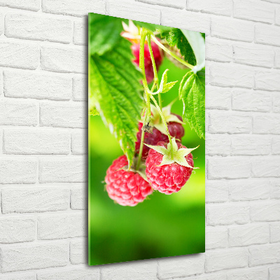 Bild auf Acrylglas vertikal Himbeeren am Strauch