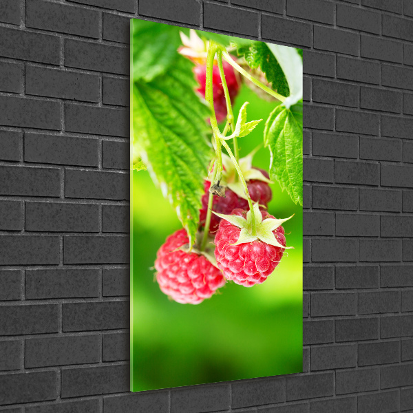 Bild auf Acrylglas vertikal Himbeeren am Strauch