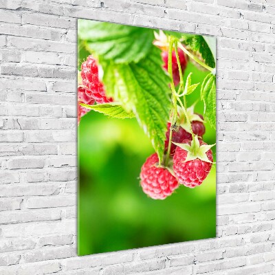 Bild auf Acrylglas vertikal Himbeeren am Strauch
