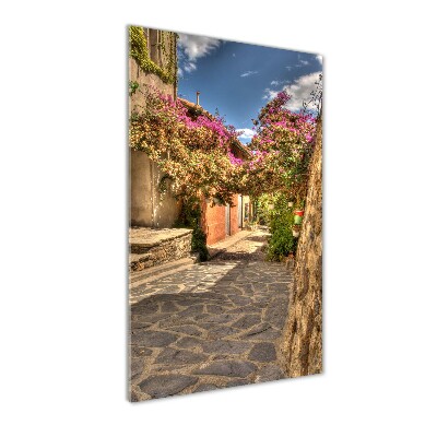 Bild auf Acrylglas vertikal Französische Straßen