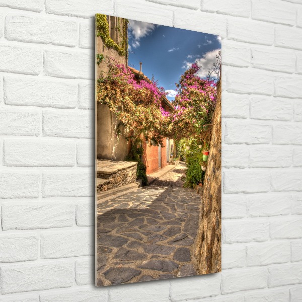 Bild auf Acrylglas vertikal Französische Straßen