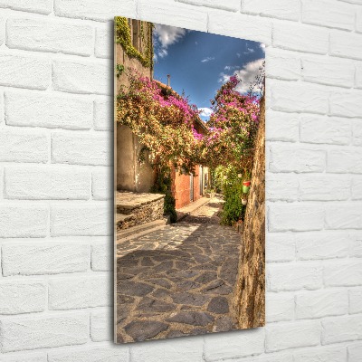 Bild auf Acrylglas vertikal Französische Straßen