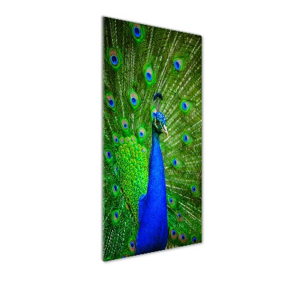 Acrylbild vertikal Pfau