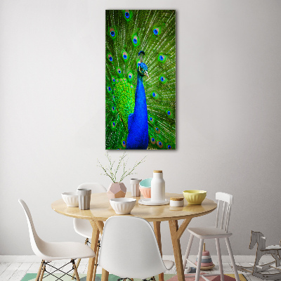 Acrylbild vertikal Pfau