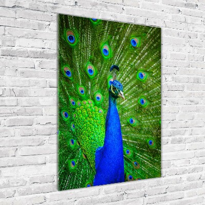 Acrylbild vertikal Pfau