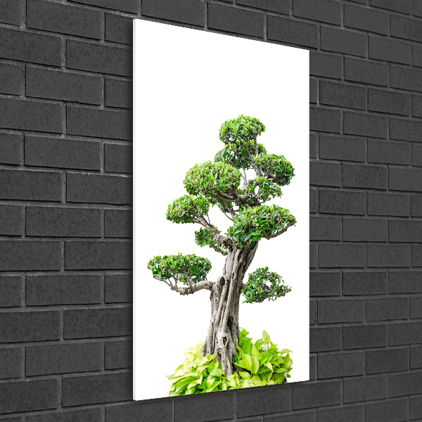 Modernes Acrylbild vertikal Bonsai-Baum