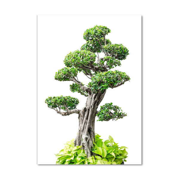 Modernes Acrylbild vertikal Bonsai-Baum