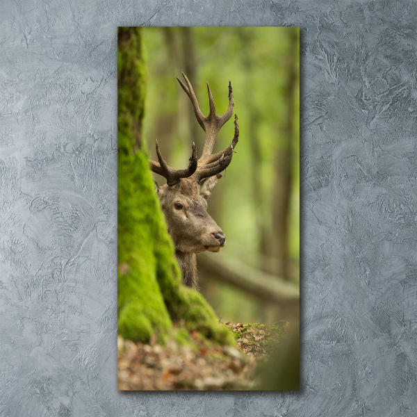 Bild auf Acrylglas vertikal Reh