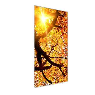 Bild auf Acrylglas vertikal Herbstbaum