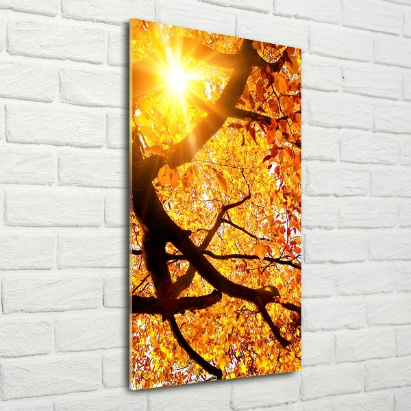 Bild auf Acrylglas vertikal Herbstbaum