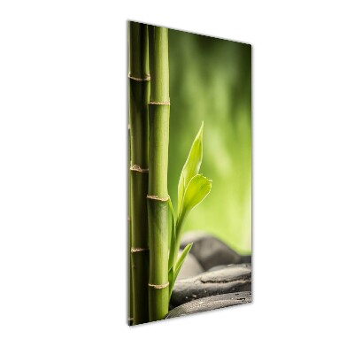 Acrylbild vertikal Bambus