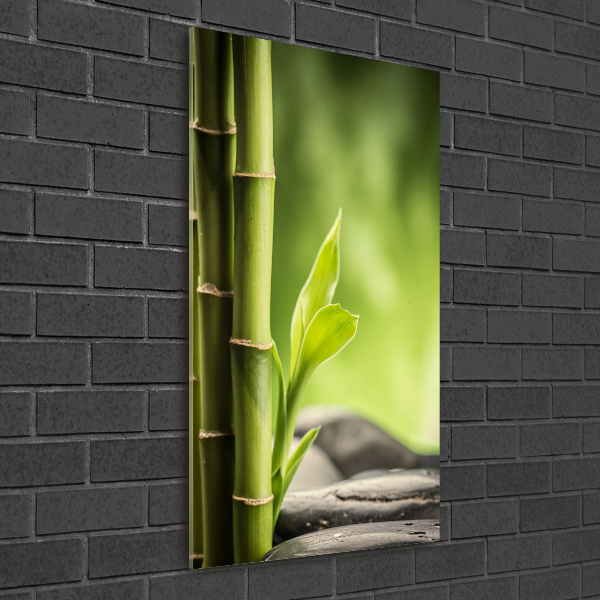 Acrylbild vertikal Bambus