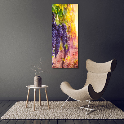 Plexiglasbilder vertikal Weinberg