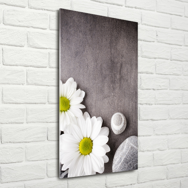 Bild auf Acrylglas vertikal Gerbera