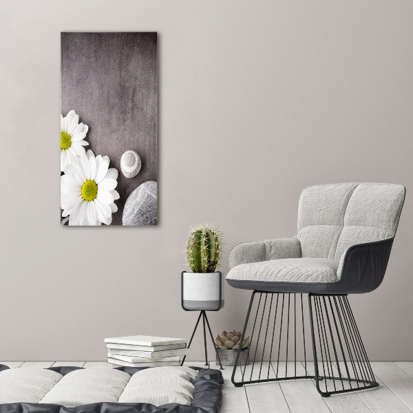 Bild auf Acrylglas vertikal Gerbera