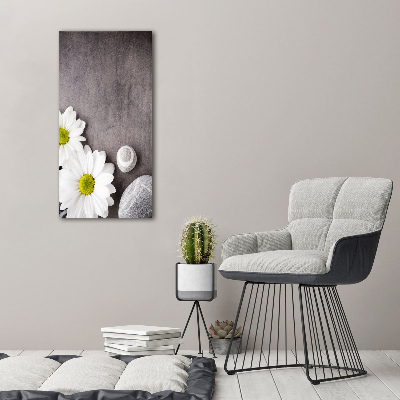 Bild auf Acrylglas vertikal Gerbera