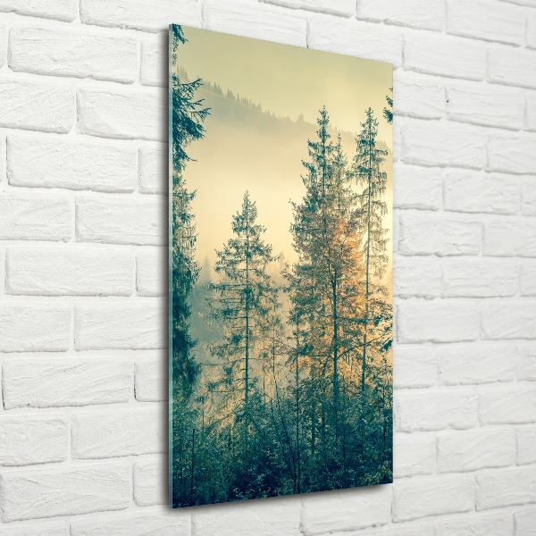 Bild auf Acrylglas vertikal Nebel über dem Wald