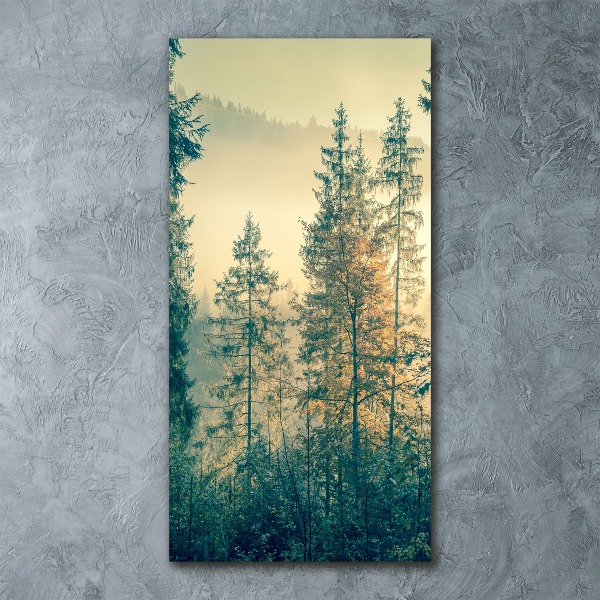 Bild auf Acrylglas vertikal Nebel über dem Wald