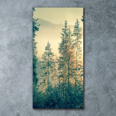 Bild auf Acrylglas vertikal Nebel über dem Wald