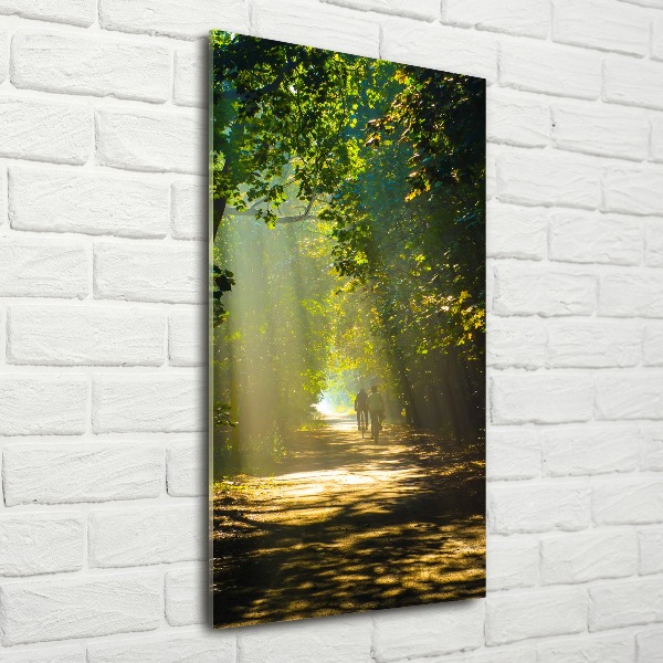 Plexiglasbilder vertikal Pfad im Wald