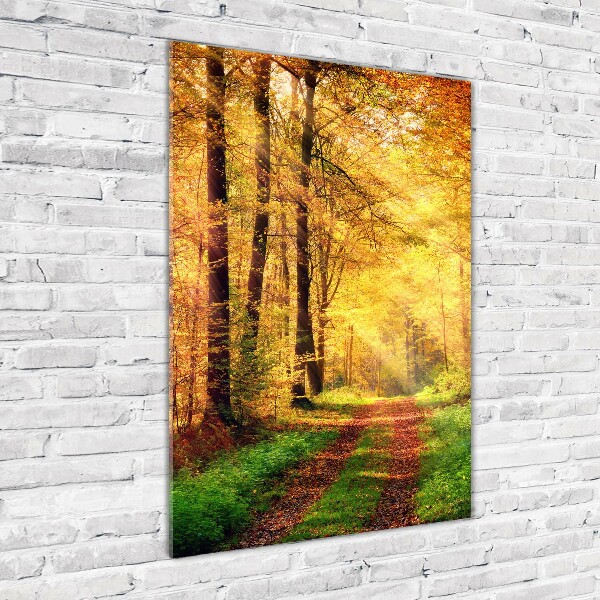 Bild auf Acrylglas vertikal Wald im Herbst