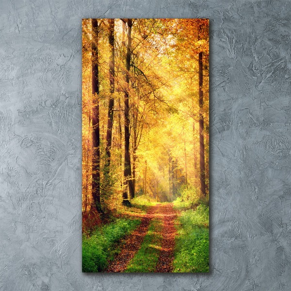 Bild auf Acrylglas vertikal Wald im Herbst