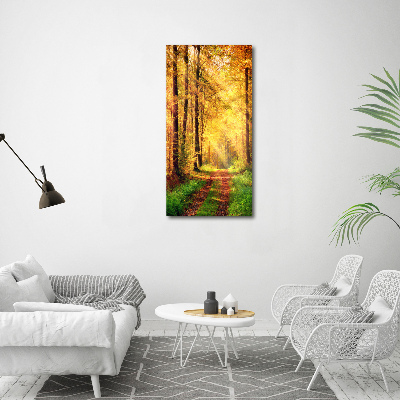 Bild auf Acrylglas vertikal Wald im Herbst