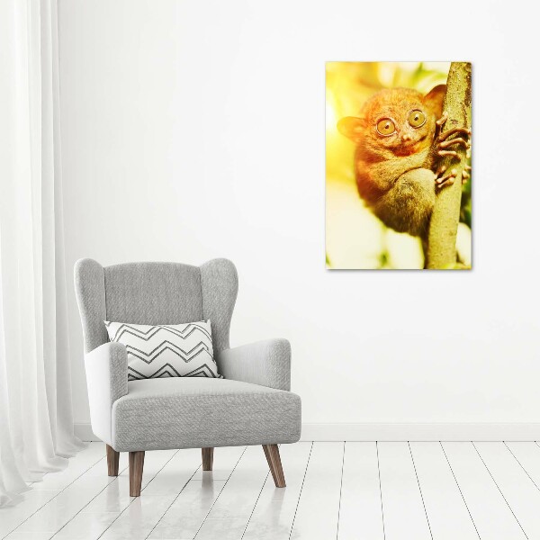 Bild auf Acrylglas vertikal Geisterkoboldmaki