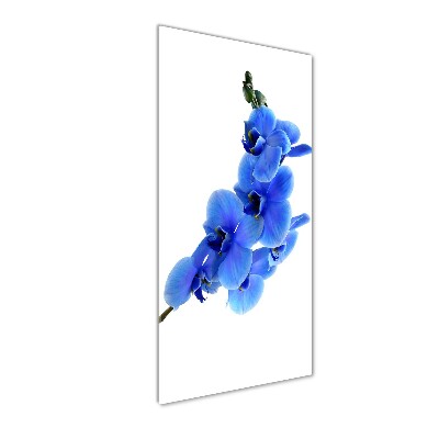 Acrylbild vertikal Blaue Orchidee