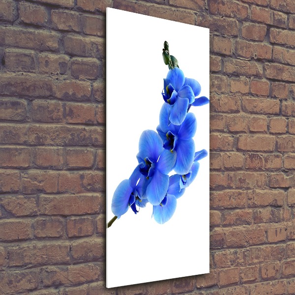 Acrylbild vertikal Blaue Orchidee
