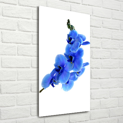 Acrylbild vertikal Blaue Orchidee
