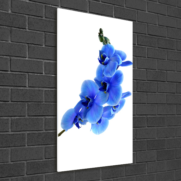 Acrylbild vertikal Blaue Orchidee