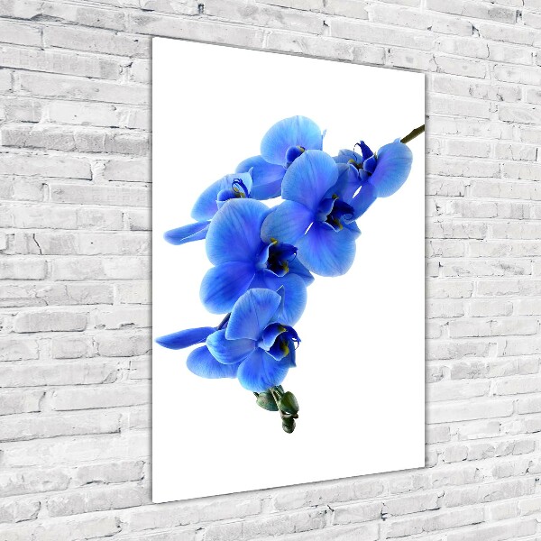 Acrylbild vertikal Blaue Orchidee