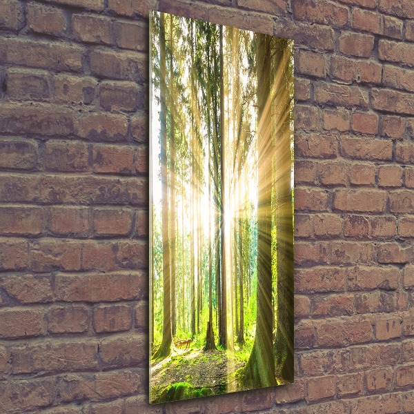 Bild auf Acrylglas vertikal Die Sonne im Wald
