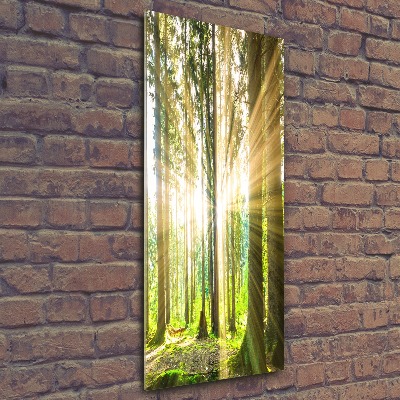 Bild auf Acrylglas vertikal Die Sonne im Wald